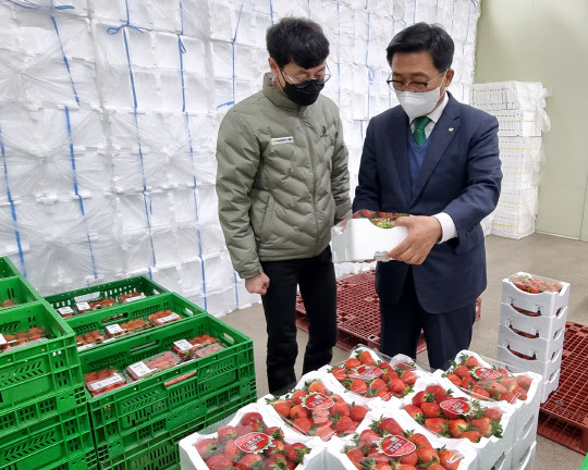 도곡농협 농산물산지유통센터 현장에서 김춘진 한국농수산식품유통공사 사장(우측)<한국농수산식품유통공사 제공>